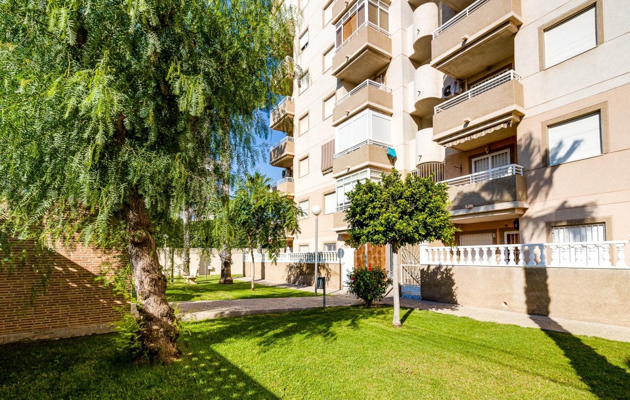 Sale - Apartment - Torrevieja - Nueva Torrevieja