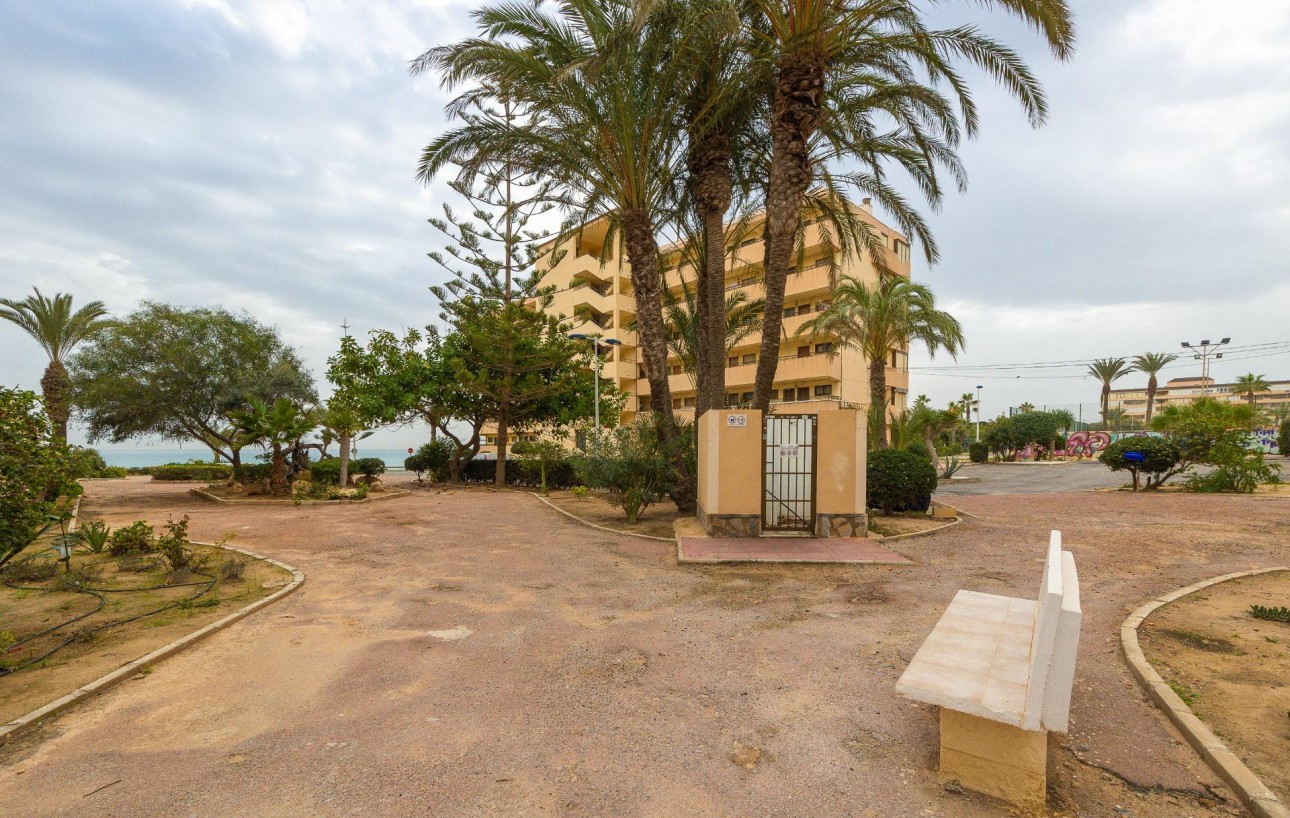 Sale - Apartment - Torrevieja - Cabo cervera