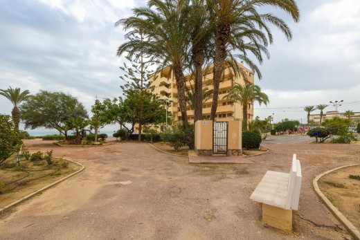 Sale - Apartment - Torrevieja - Cabo cervera