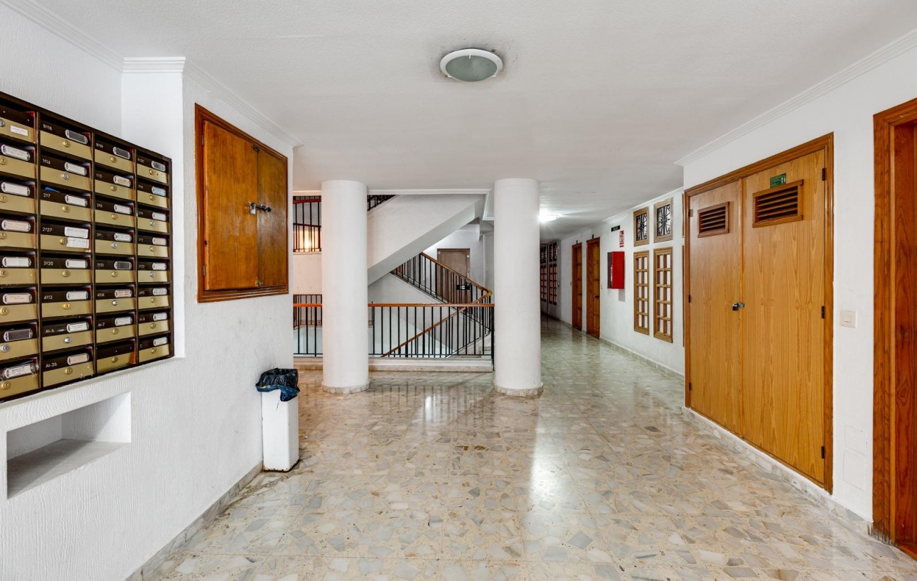 Venta - Estudio - Torrevieja - Habaneras