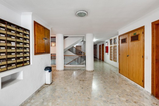 Venta - Estudio - Torrevieja - Habaneras