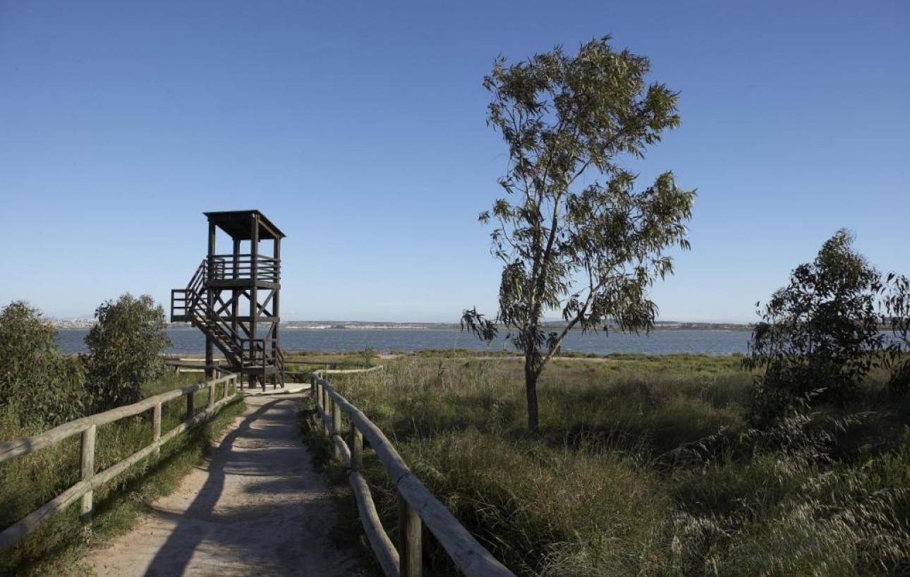 Obra Nueva - Villa - Torrevieja - Parque Acuático - Sector 25