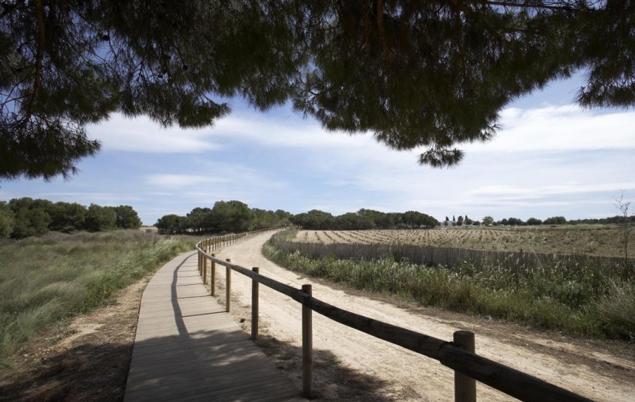 Obra Nueva - Villa - Torrevieja - Parque Acuático - Sector 25