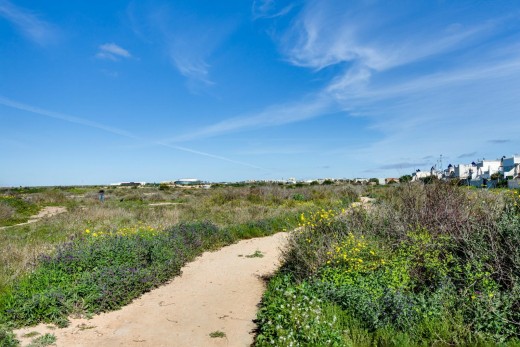 Venta - Bungalow Planta Alta - Torrevieja - Doña ines