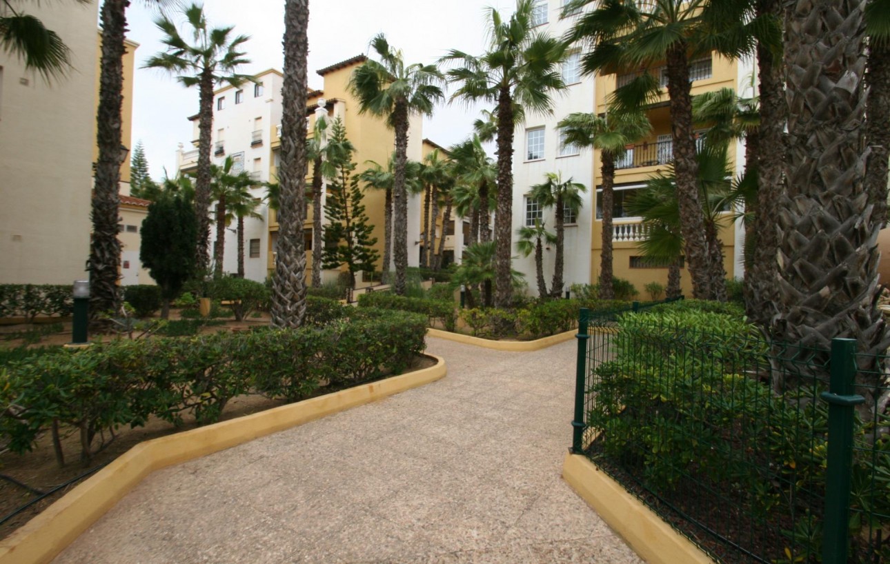 Revente - Appartement - Torrevieja - Playa de los locos