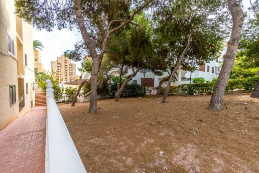 Resale - Penthouse - Torrevieja - Torreblanca