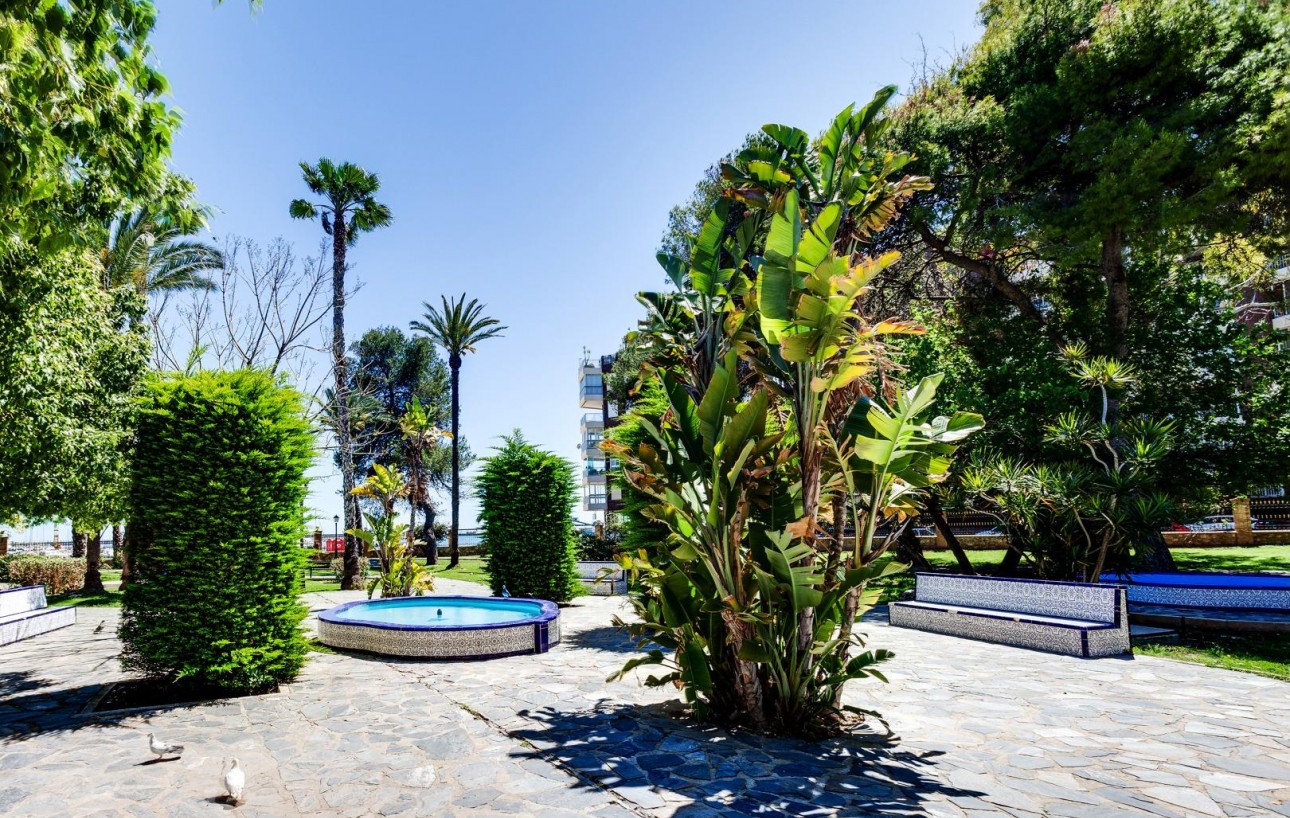 Revente - Appartement - Torrevieja - Acequion