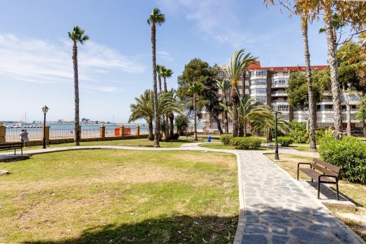 Revente - Appartement - Torrevieja - Acequion