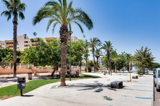 Venta - Piso - Torrevieja - Estacion de autobuses