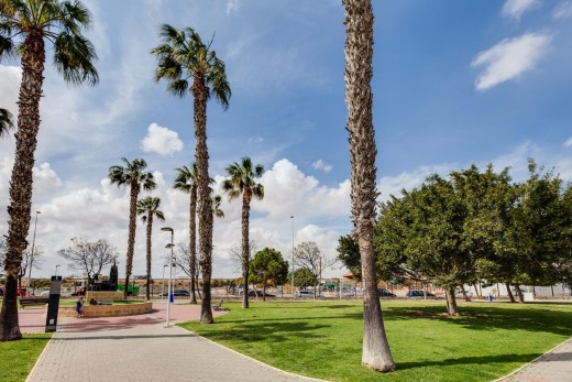 Resale - Penthouse - Torrevieja - Parque de las Naciones