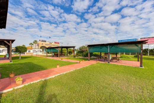 Revente - Bungalow - Torrevieja - Parque las naciones