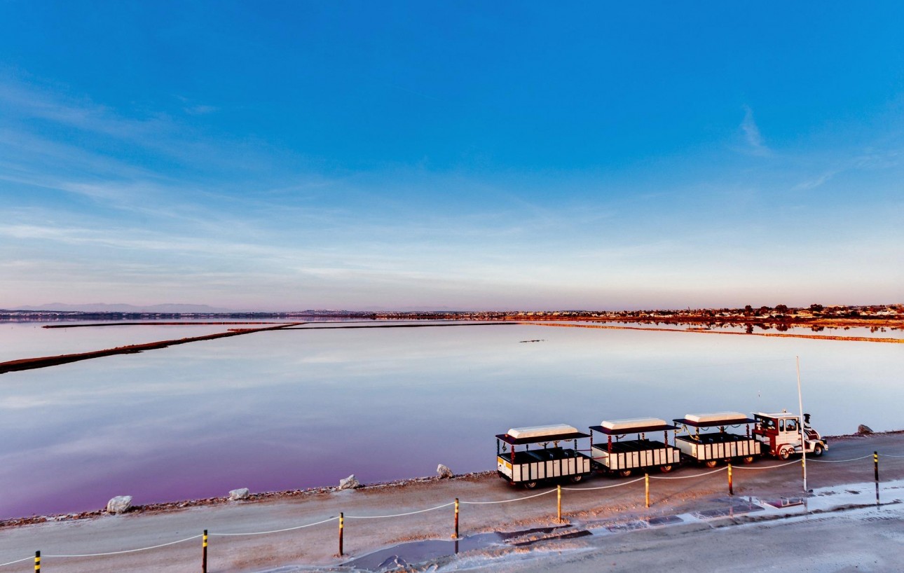 Revente - Bungalow - Torrevieja - Parque las naciones