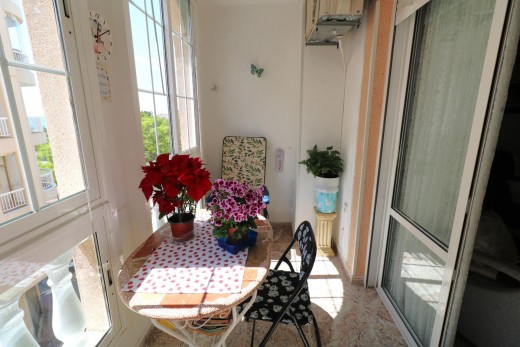 Resale - Wohnung - Torrevieja - Acequion