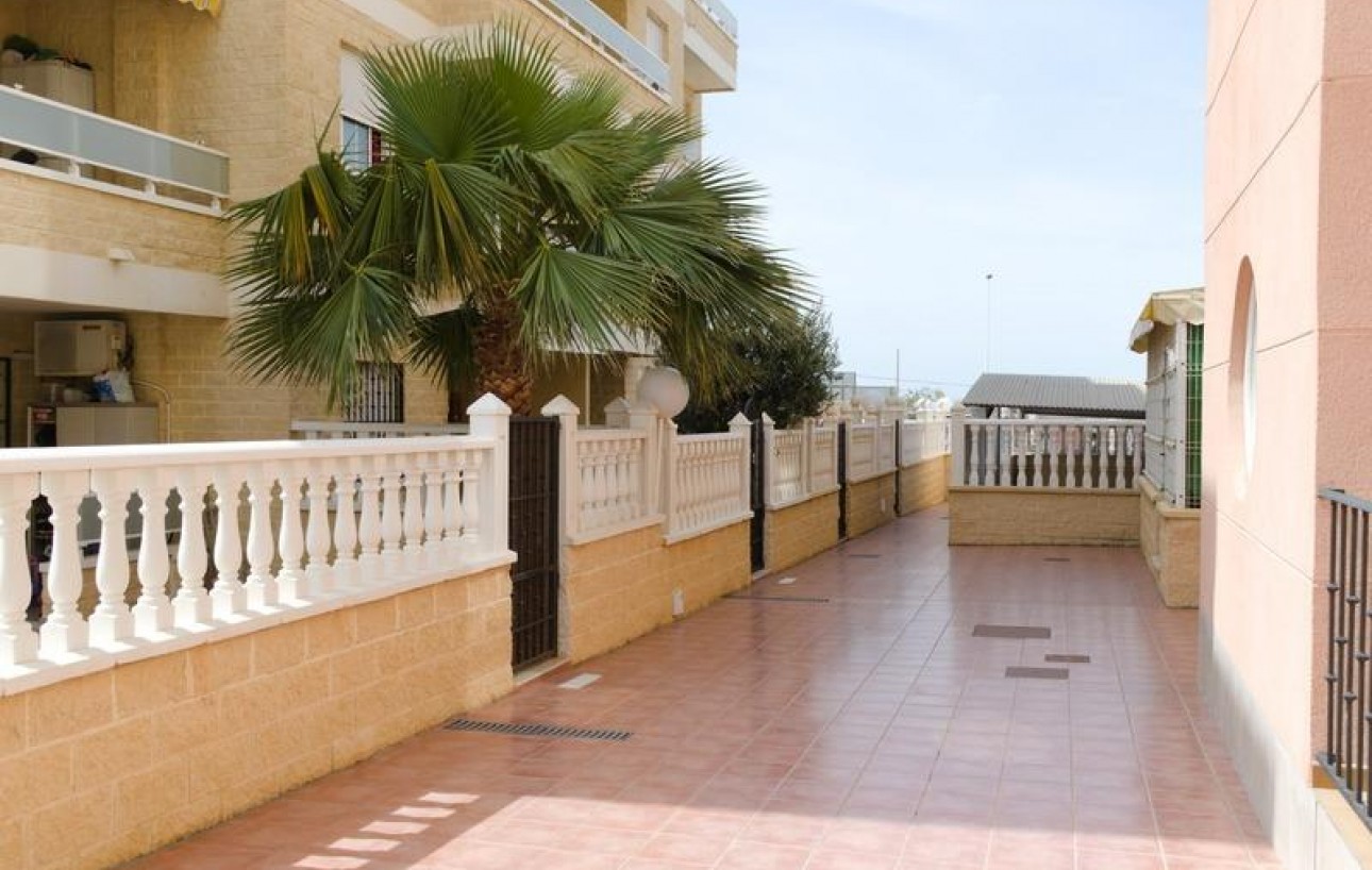 Resale - Planta baja - Torrevieja - Aguas nuevas 1