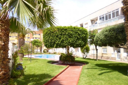 Sale - Penthouse - Torrevieja - Estacion de autobuses