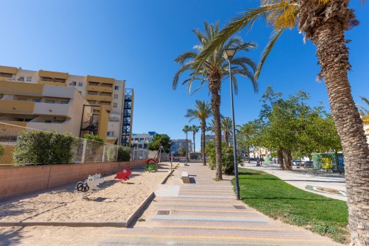 Resale - Planta baja - Torrevieja - Estacion de autobuses