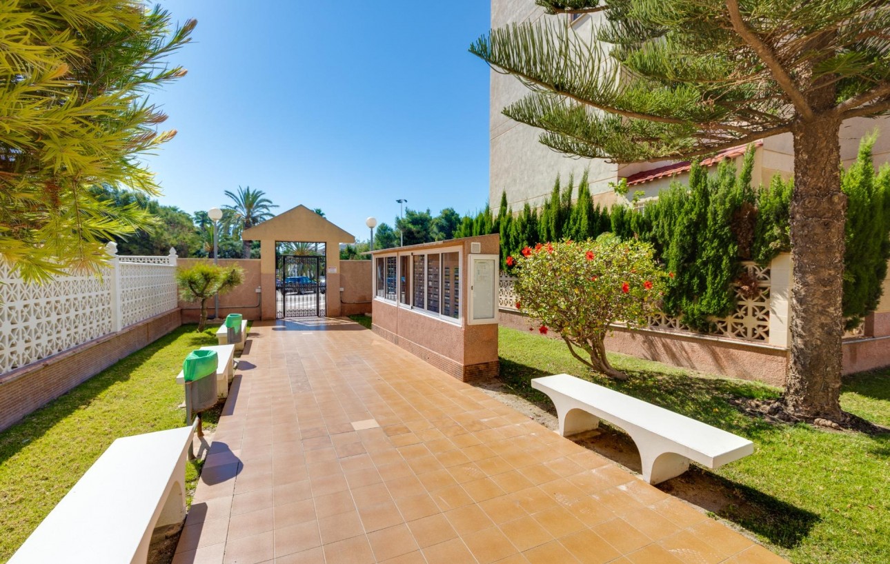 Revente - Appartement - Torrevieja - Calas blanca