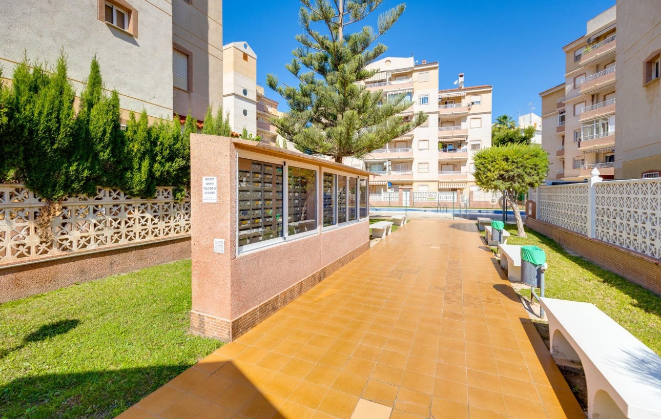 Revente - Appartement - Torrevieja - Calas blanca