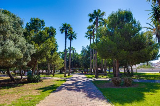 Revente - Appartement - Torrevieja - Calas blanca