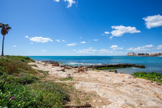 Resale - Lägenhet - Torrevieja - Playa del cura