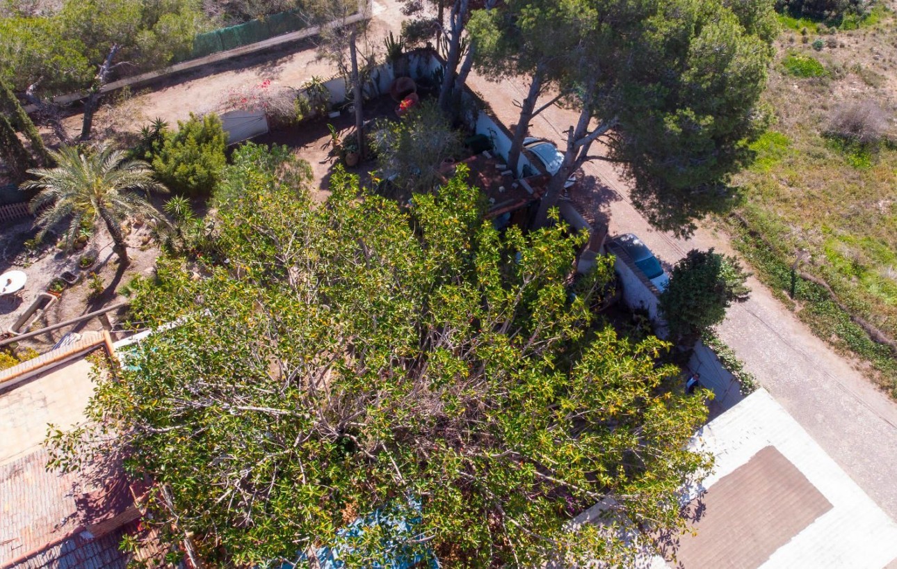 Sale - Chalet - Orihuela Costa - Lomas de Cabo Roig-Los Dolses