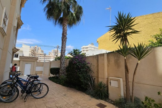 Resale - Piso - Torrevieja - Nueva Torrevieja