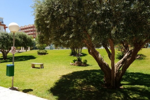 Resale - Wohnung - Torrevieja - La Mata