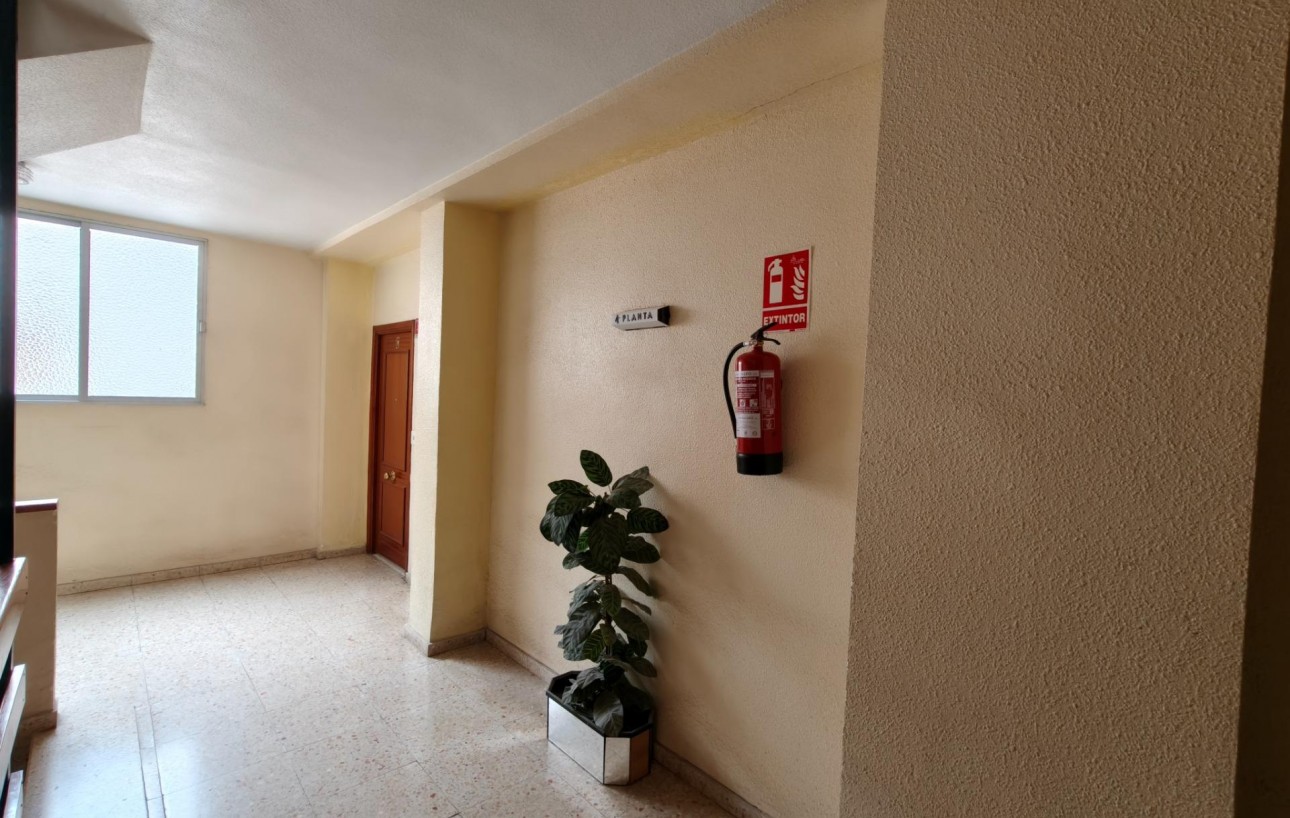 Venta - Piso - Torrevieja - Centro