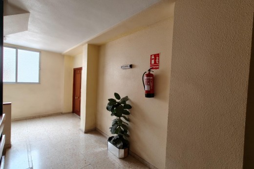 Venta - Piso - Torrevieja - Centro