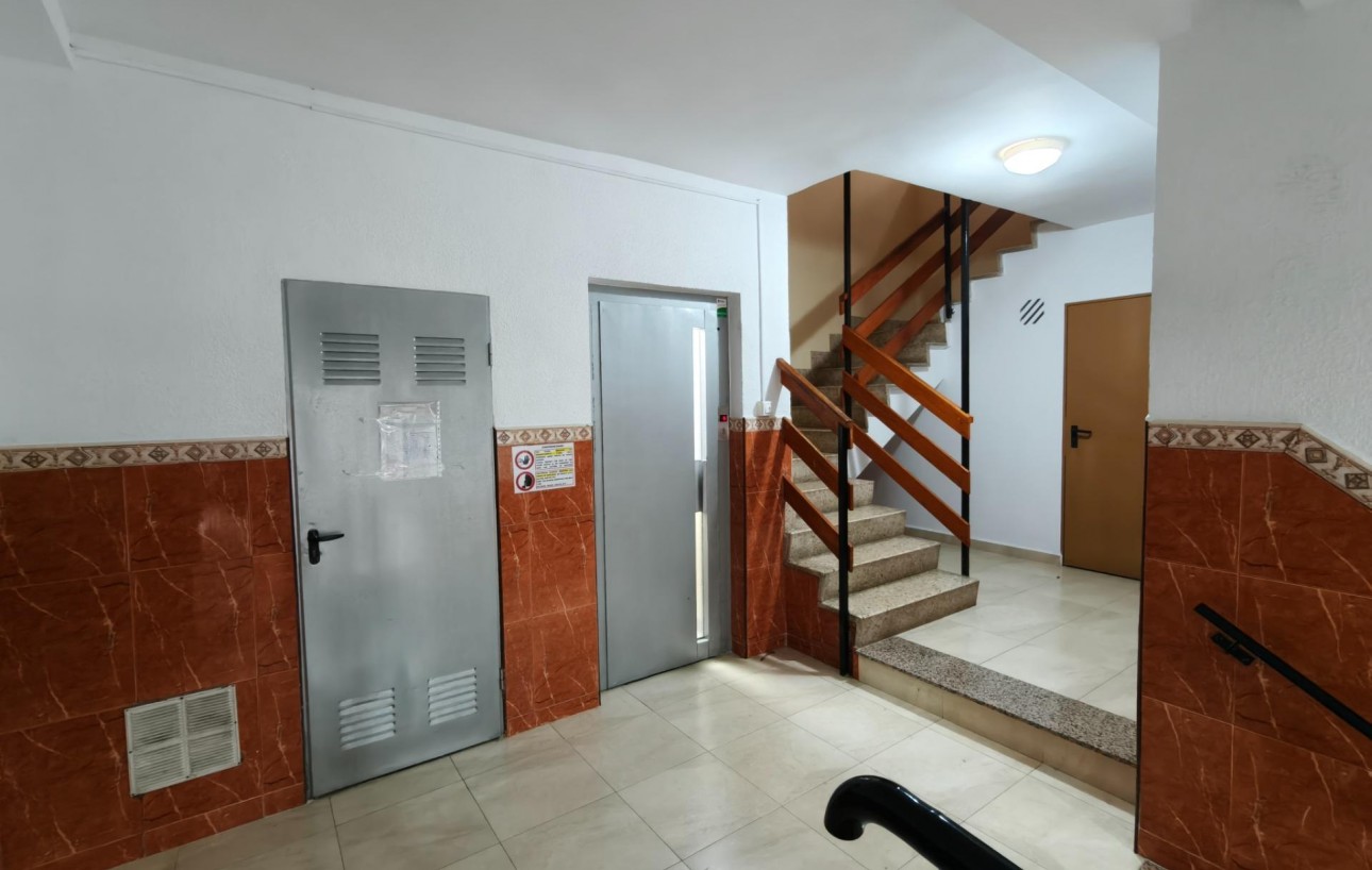 Venta - Piso - Torrevieja - Centro