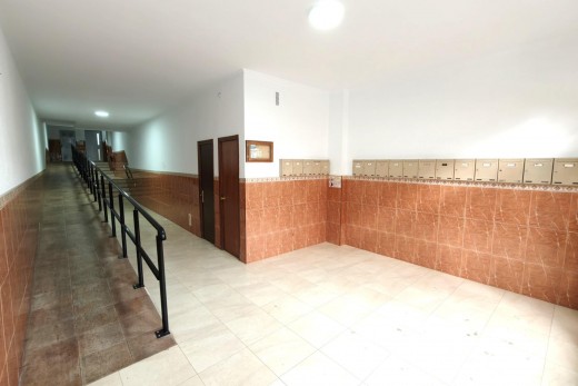 Venta - Piso - Torrevieja - Centro
