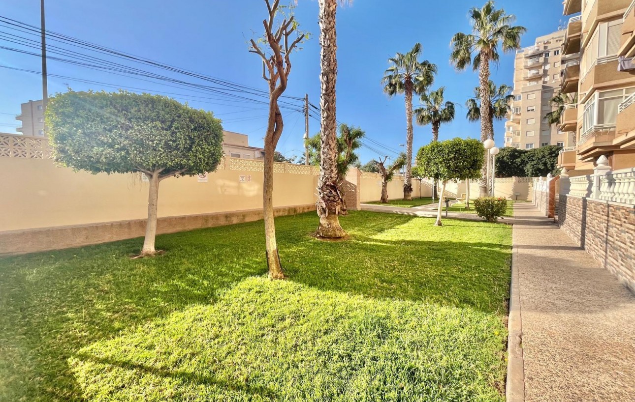 Resale - Lägenhet - Torrevieja - Calas blanca