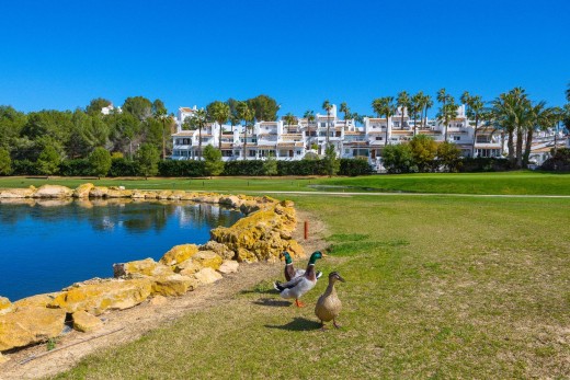 Venta - Casa Tipo Dúplex - Orihuela Costa - Las Filipinas