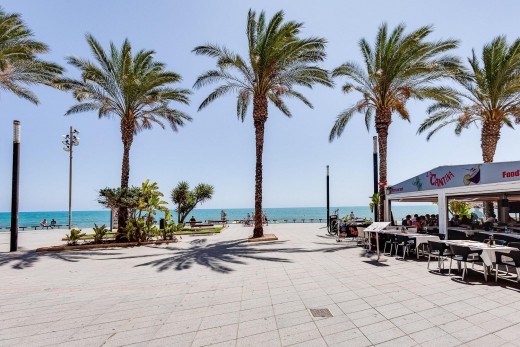 Venta - Piso - Torrevieja - Centro