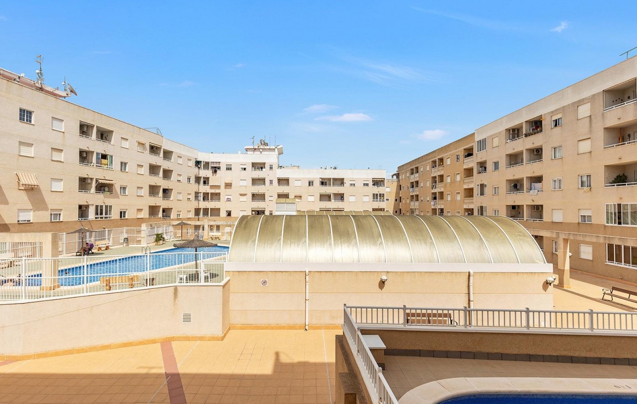 Venta - Estudio - Torrevieja - Centro