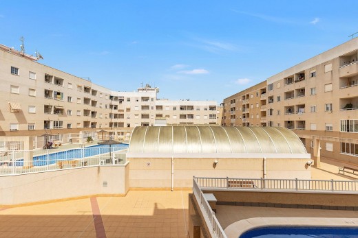 Venta - Estudio - Torrevieja - Centro