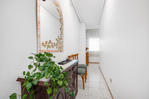 Venta - Apartamento - Torrevieja - Estacion de autobuses