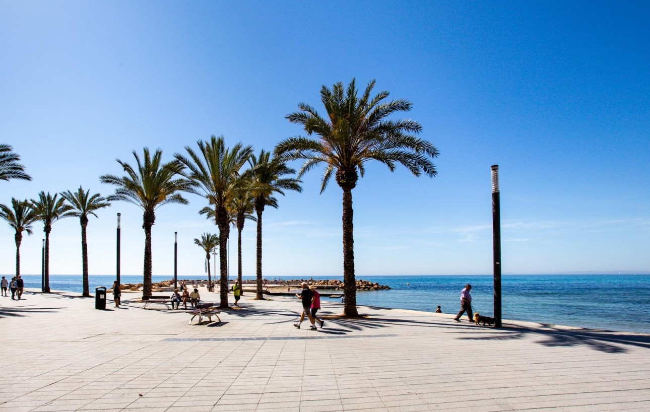 Venta - Apartamento - Torrevieja - Estacion de autobuses