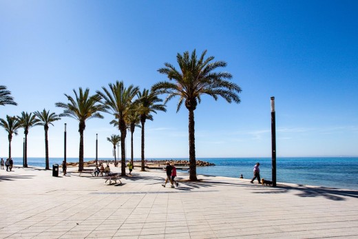 Venta - Apartamento - Torrevieja - Estacion de autobuses