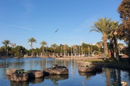 Resale - Lägenhet - Torrevieja - Parque las naciones