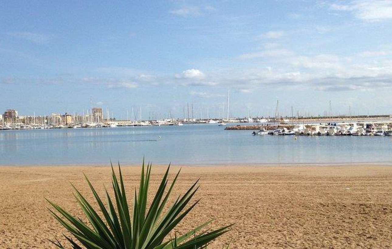 Resale - Lägenhet - Torrevieja - Parque las naciones