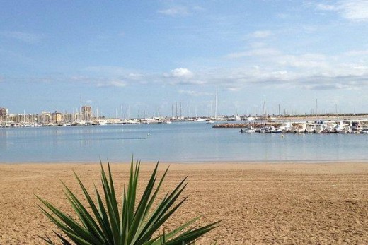 Resale - Lägenhet - Torrevieja - Parque las naciones