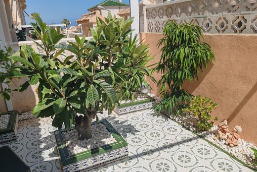 Revente - Casa Tipo Dúplex - Torrevieja - Los altos