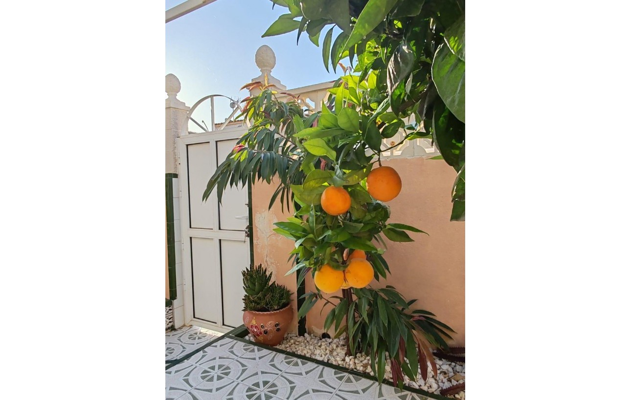 Revente - Casa Tipo Dúplex - Torrevieja - Los altos