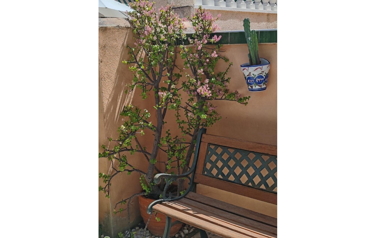 Revente - Casa Tipo Dúplex - Torrevieja - Los altos
