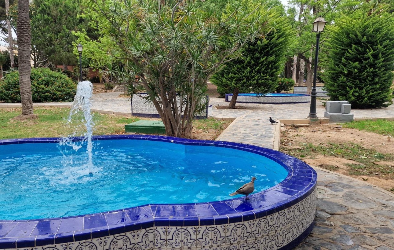 Resale - Lägenhet - Torrevieja - Acequion