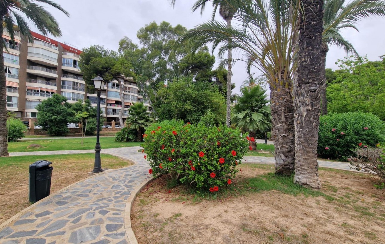 Resale - Lägenhet - Torrevieja - Acequion