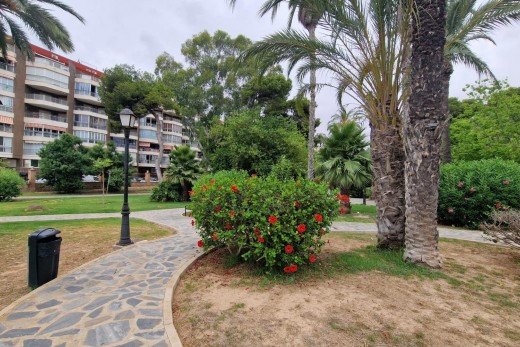Resale - Lägenhet - Torrevieja - Acequion