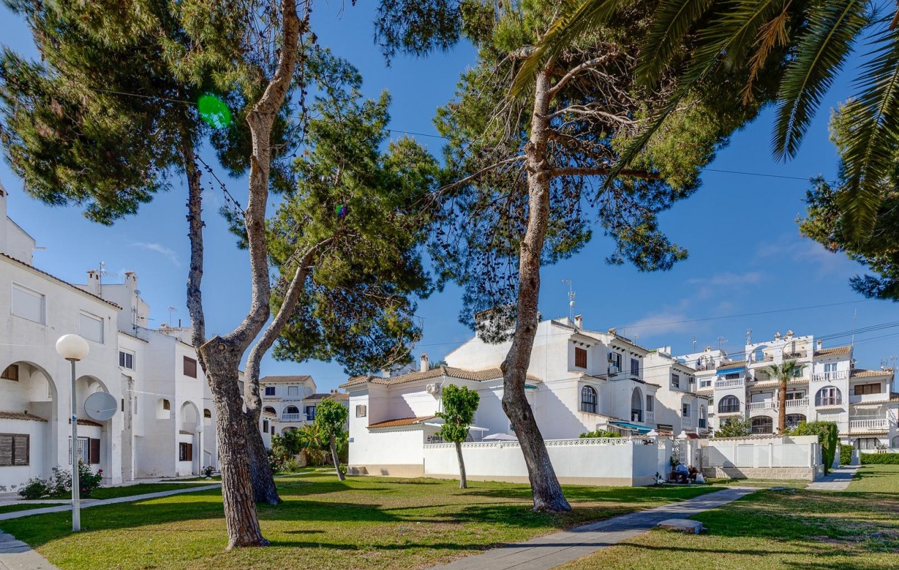 Resale - Lägenhet - Torrevieja - Calas blanca
