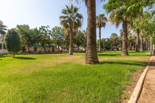 Sale - Bungalow Planta Baja - Orihuela Costa - La Regia